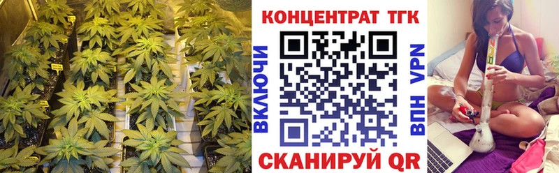 MEGA ONION  Багратионовск  ТГК вейп 